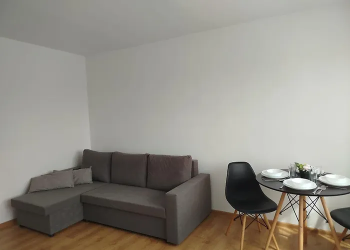 E&m Krzyzacki 公寓 马尔堡